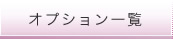 オプション一覧